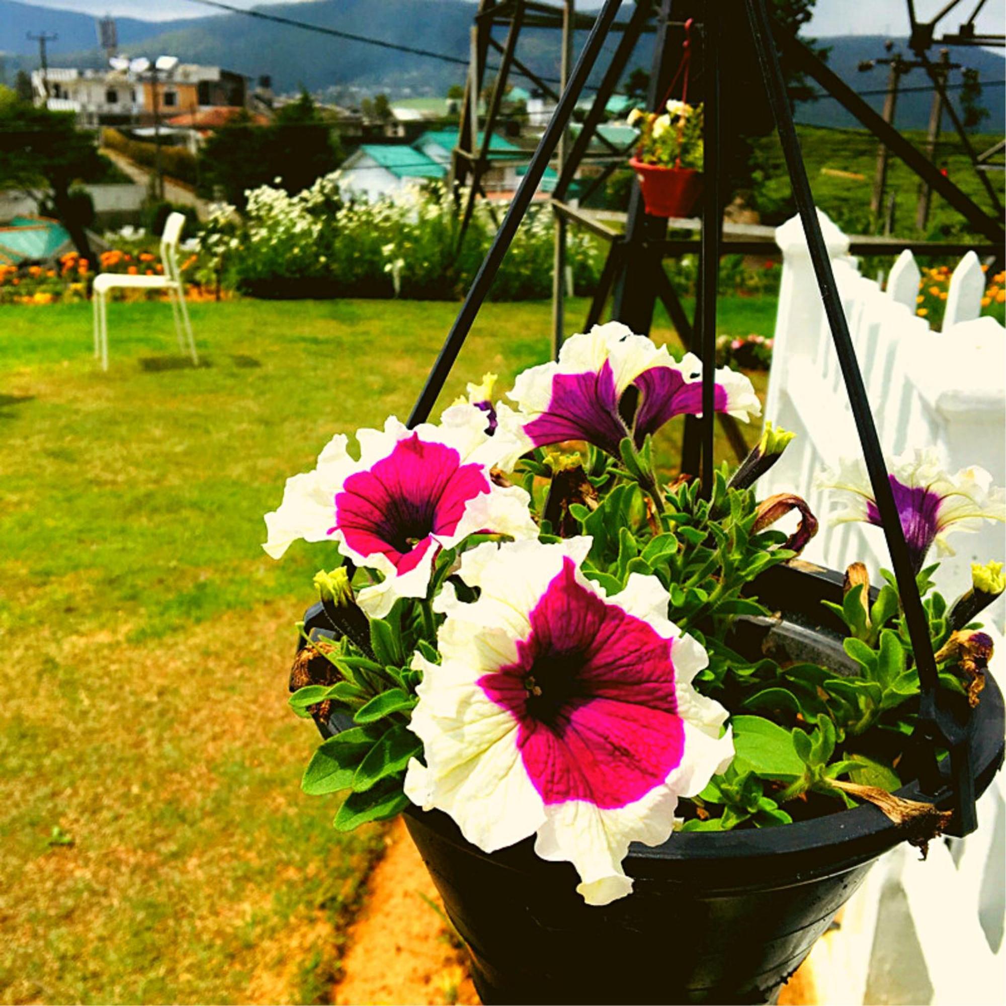Thuring'S Holiday Bungalow Nuwara Eliya Zewnętrze zdjęcie