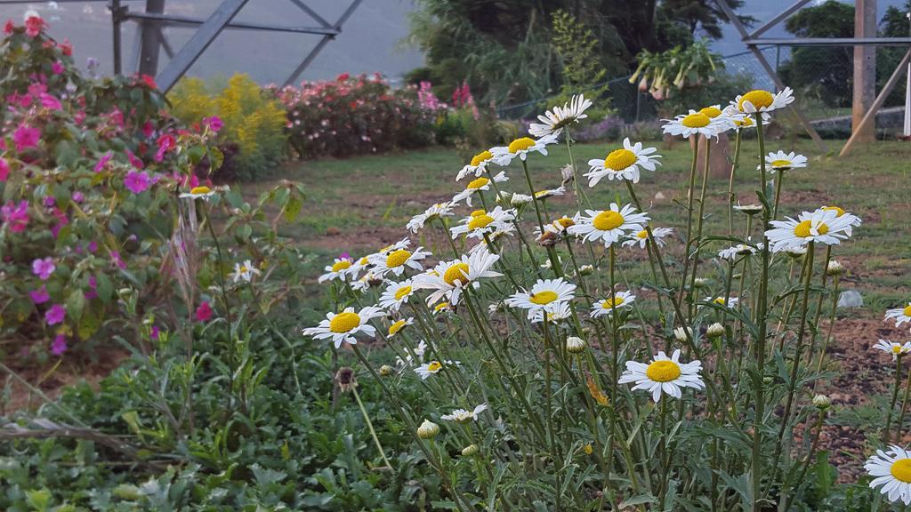 Thuring'S Holiday Bungalow Nuwara Eliya Zewnętrze zdjęcie