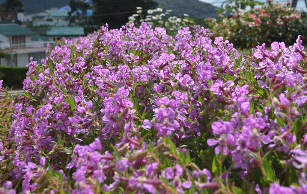 Thuring'S Holiday Bungalow Nuwara Eliya Zewnętrze zdjęcie