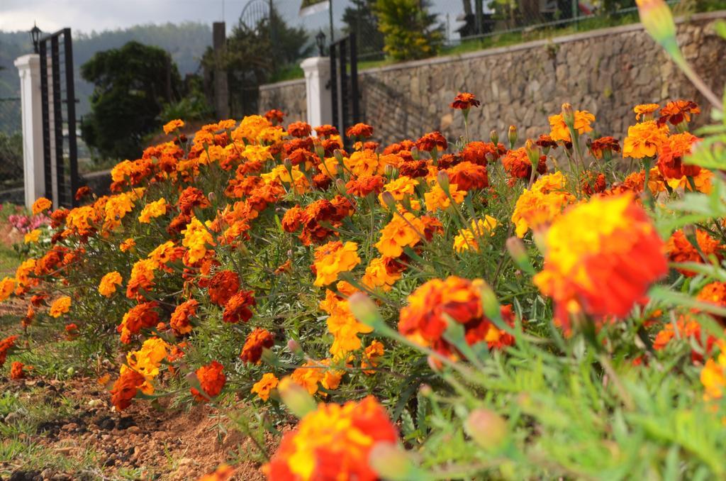 Thuring'S Holiday Bungalow Nuwara Eliya Zewnętrze zdjęcie